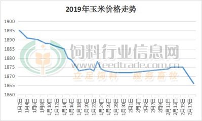 玉米价格走势图揭秘，市场分析与未来展望