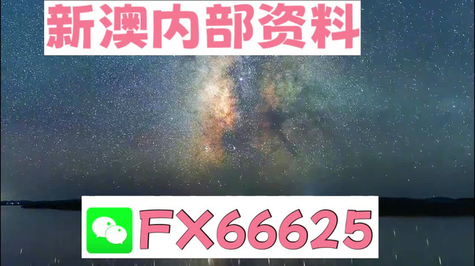 新澳天天彩免费资料2024老,经典解释落实_游戏版6.336