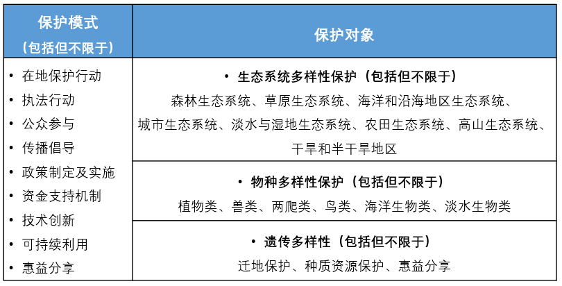 2024年澳门天天开好彩大全,稳定性操作方案分析_OP69.376