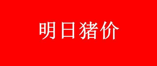 今日大蒜价格行情分析与趋势预测