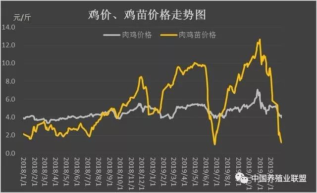 最新淘汰鸡价格走势分析