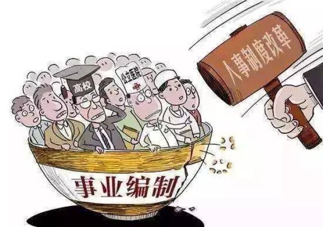 事业编改革最新动态，深度分析与未来展望