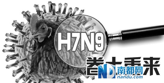 H7N9最新动态，全球防控形势与应对策略的最新进展