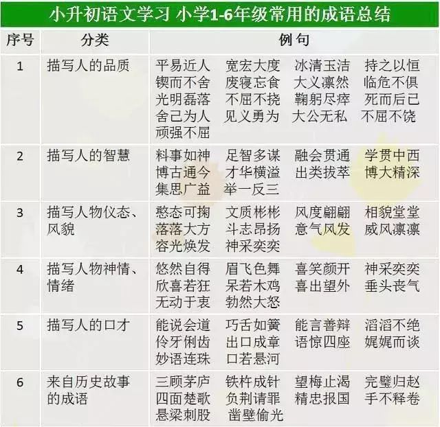 新门内部资料精准大全最新章节免费,确保成语解释落实的问题_Executive33.484