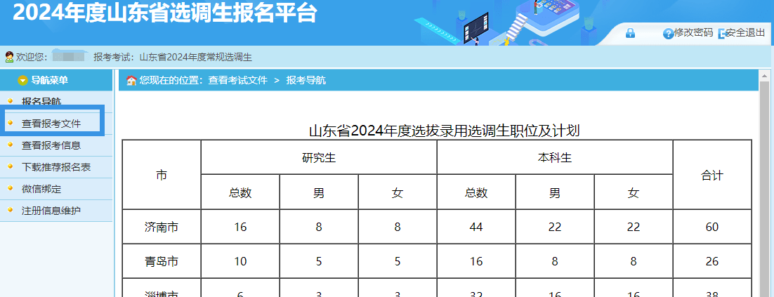 2024新澳精准资料大全,准确资料解释落实_经典版83.975