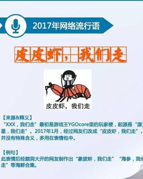 最新网络词汇揭秘，网络语言的演变及其影响探究