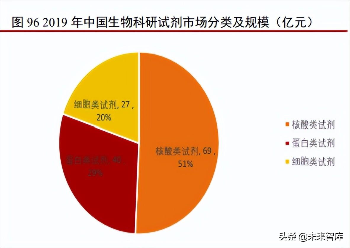 2024新澳门天天彩,实地解析说明_T53.832