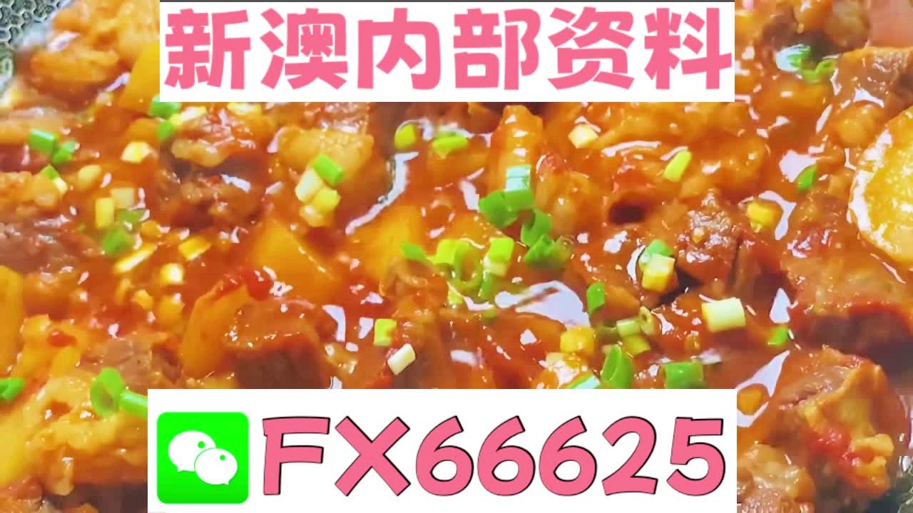 新奥门特免费资料大全火凤凰,快速计划解答设计_5DM10.813