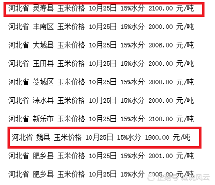 河北玉米最新价格动态解析