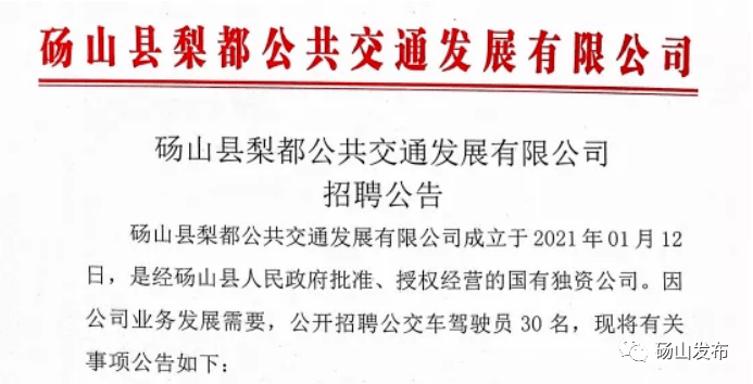 砀山县驾驶员招聘启事，诚邀驾驶人才加入我们的团队