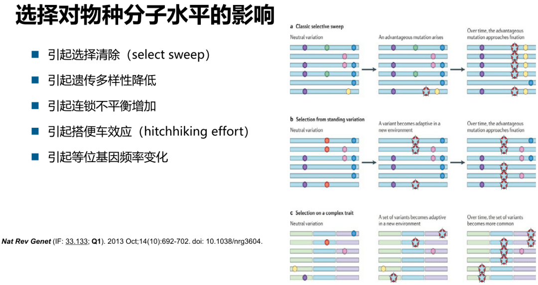 2024新奥历史开奖记录,实用性执行策略讲解_铂金版79.93