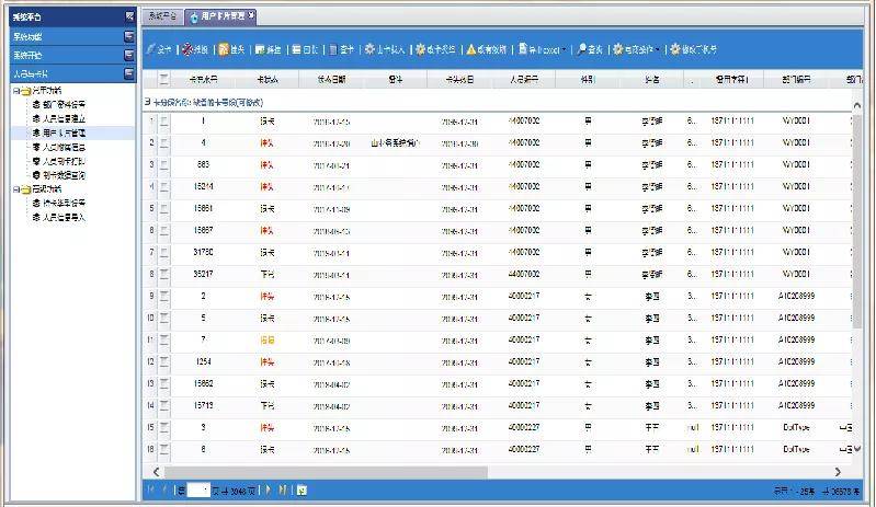 2024年正版资料免费大全,实地计划验证策略_Pixel88.231