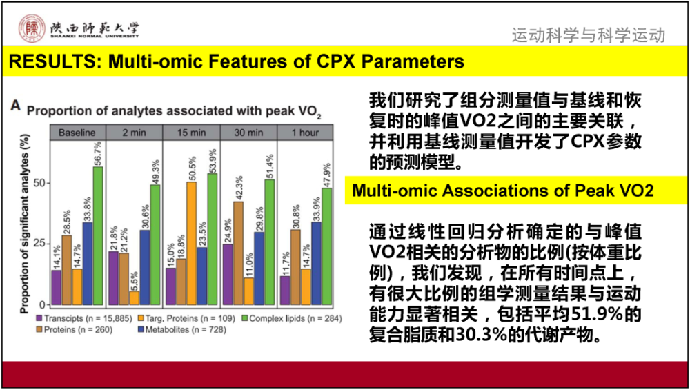 新澳门,效率资料解释落实_旗舰款77.372