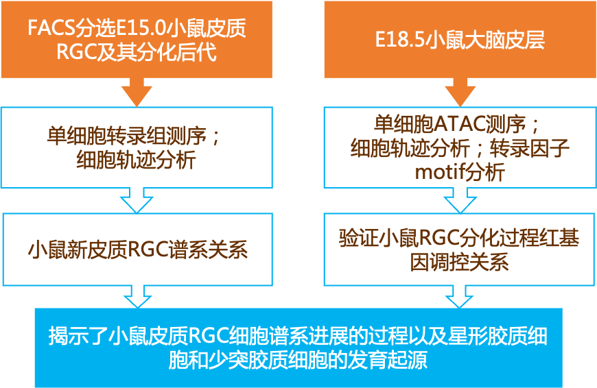 2024新奥正版资料免费,实效性解析解读策略_V48.37