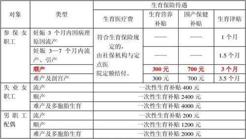 2020年生育津贴最新政策深度解读与解析