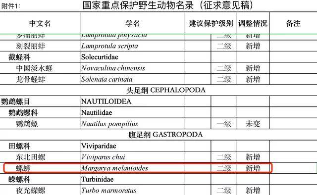 新奥门特免费资料查询,权威解答解释定义_Device40.682