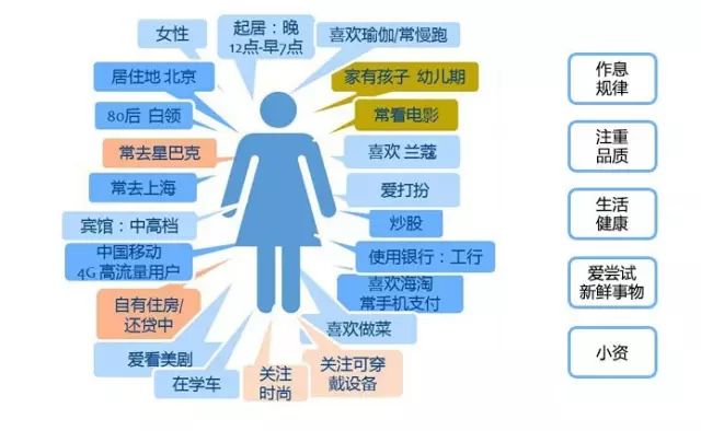 新澳门内部资料精准大全,深入数据执行方案_钱包版74.446