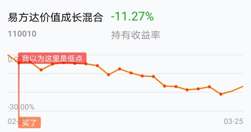 今日最新净值解析，聚焦110010基金净值报告