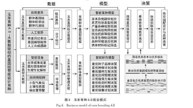 新澳资料大全正版2024金算盘,数据驱动分析解析_探索版44.602