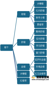 494949最快查开奖结果手机,结构化推进评估_战略版24.251