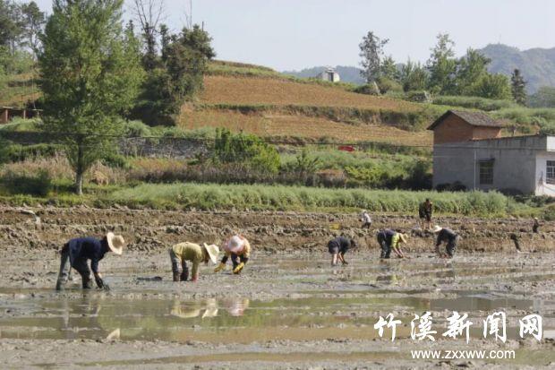 竹溪县蒋家堰乡村新面貌蓬勃发展纪实