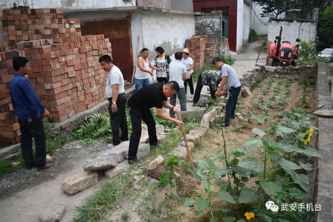 武安二手摩托车市场最新概览