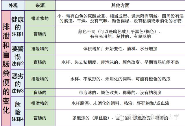 494949开奖历史记录最新开奖记录,现状分析说明_户外版93.401