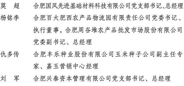 合肥市组织部最新公示，深化人才队伍建设，助力城市高质量发展新篇章