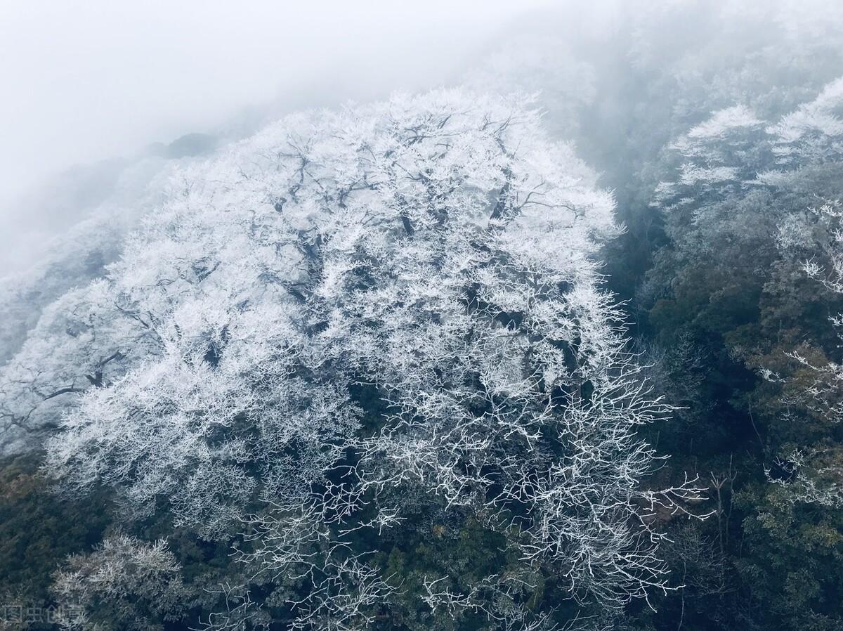 千渡东山晴最新消息揭秘，未来规划与进展概览