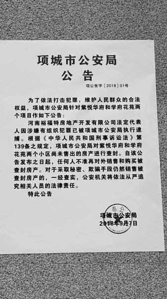 项城紫悦华府最新动态深度解析