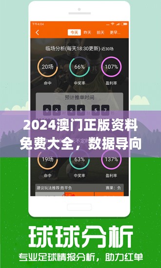 新澳门王中王100%期期中,实地数据分析计划_iShop87.747