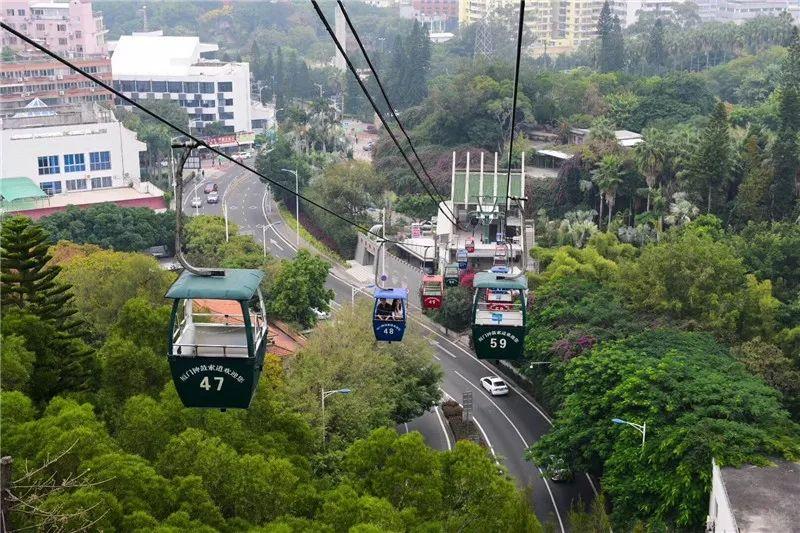 厦门楼盘降价趋势揭秘，最新消息、市场走向与影响分析