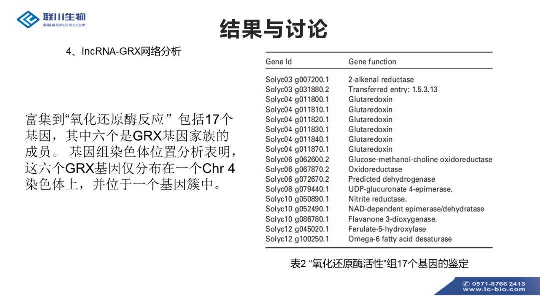 新澳好彩免费资料查询100期,调整方案执行细节_4K49.115