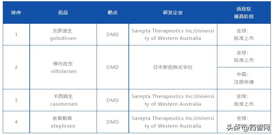 DMD治疗最新研究进展概述，突破与希望