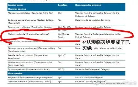 新澳今天最新资料网站,精细执行计划_限量版60.328