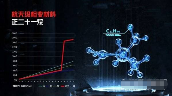 2024年11月21日 第33页