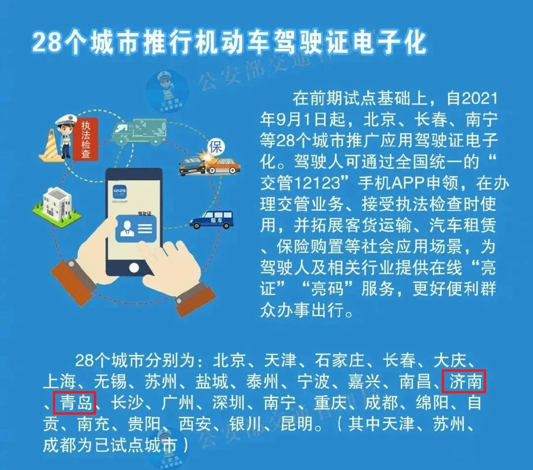 2024年全年资料免费大全,数据导向策略实施_pro39.957