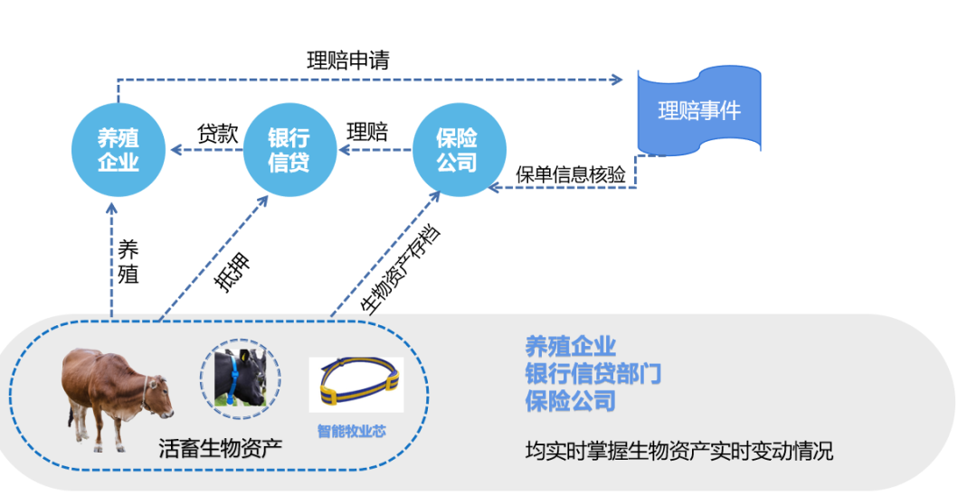 2024新澳最精准资料,平衡实施策略_静态版41.148