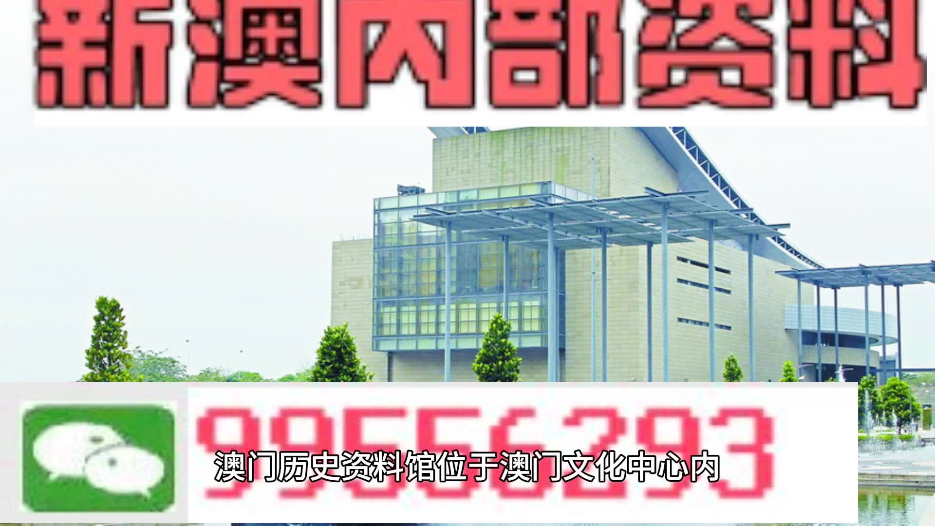 2024新奥门今晚资料,专业说明解析_尊贵版41.310