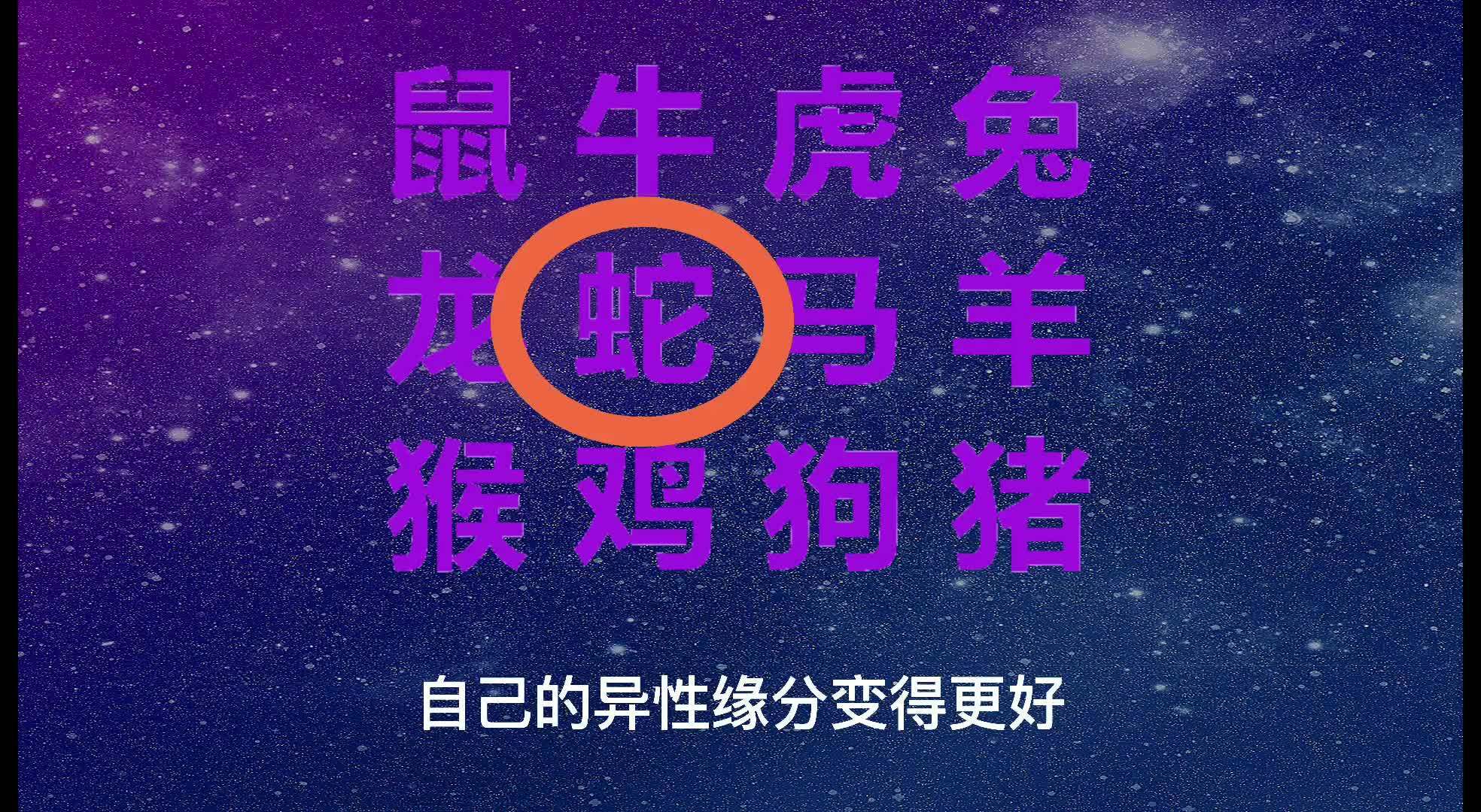 2024新澳门今天晚上开什么生肖,最新热门解答落实_安卓款84.205