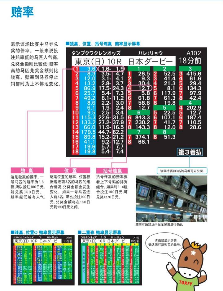 马会传真,稳定解析策略_高级版65.582