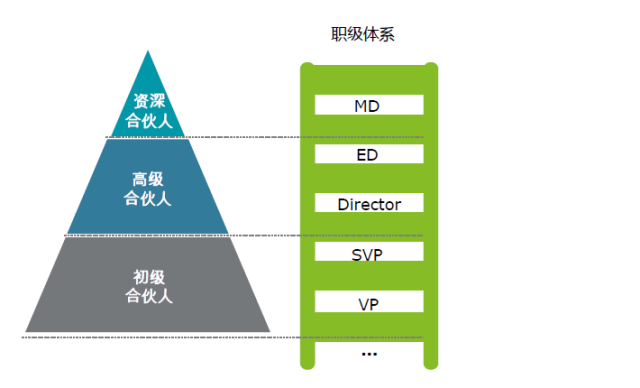 资料大全正版资料免费,详细解读定义方案_D版74.99