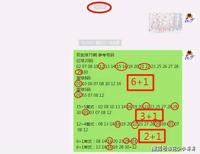 白小姐今晚特马期期准六,实证研究解析说明_安卓20.847