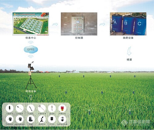 托普软件最新消息综述，动态与发展解析