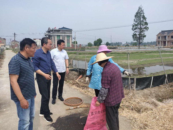 晏塘镇最新动态，发展跃动，变化脉搏